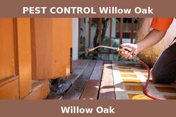 PEST CONTROL Willow Oak